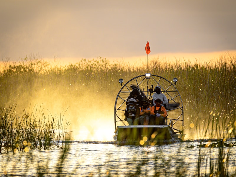 The Everglades